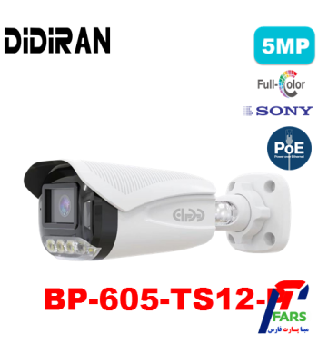 605-ts12-p